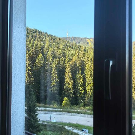Тайната Квартира - The Secret Apartment Pamporovo Kültér fotó